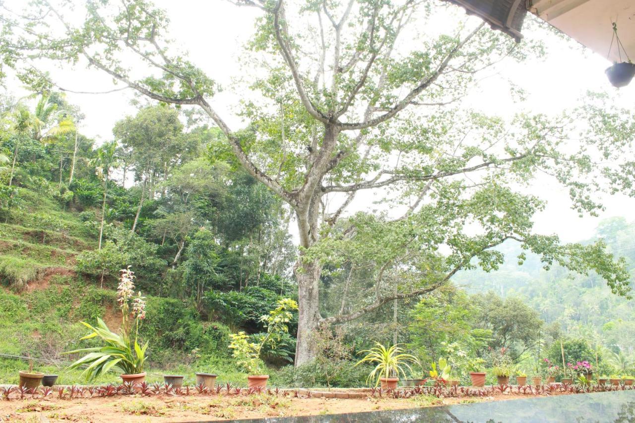 The Mountcourt Hotel Munnar Ngoại thất bức ảnh